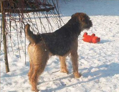 2.2. Dakota im Schnee