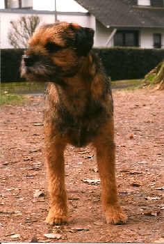 image008