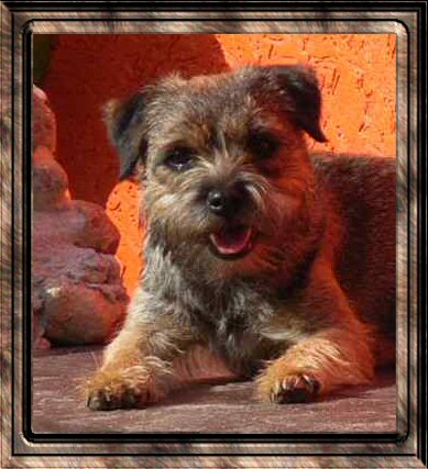 lucy..kopf
