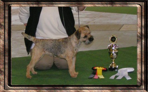 lucy_cacib_berlin02