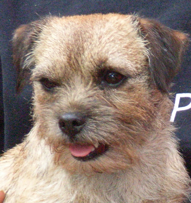 pia 020