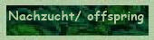 button_home_textlos6