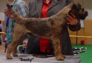 rocky poland champion02