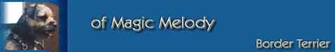 Kopie (2) von magicmelody