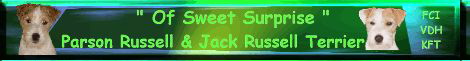 Banner-of-sweet-surprise
