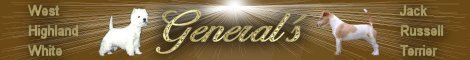 banner_generals_gold2