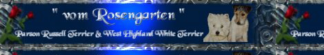 banner_ria_test3