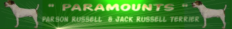 banner_silvia1