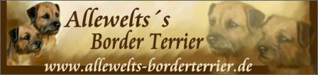allewelts banner