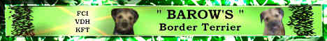 banner_barows