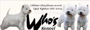 banner_whoes
