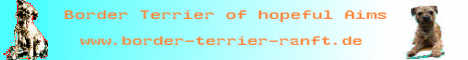 bannerterrier