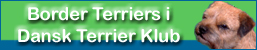 btidtkstorbanner