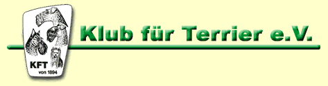 kft-online-link