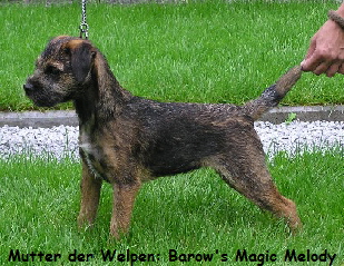 Maggy