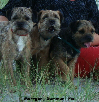 20100628_288