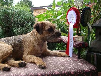 20100823_8