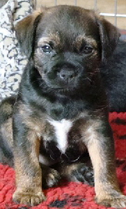 Maggy (2)