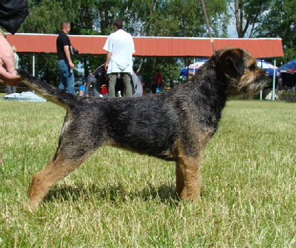 Pia 20.06.