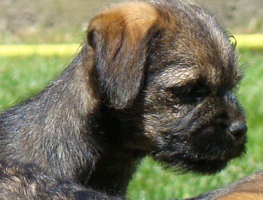 maggy's baby