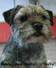 a_Rocky3
