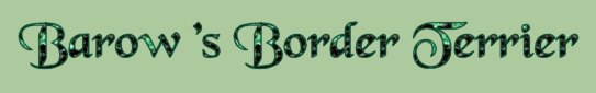 barowsborder2