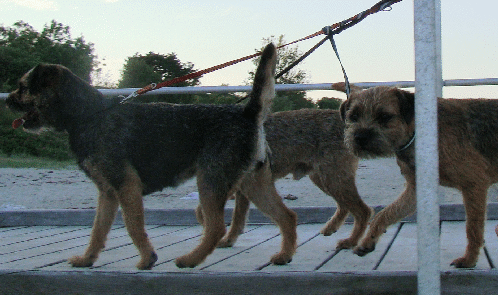 20100628_285
