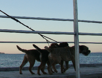 20100628_286