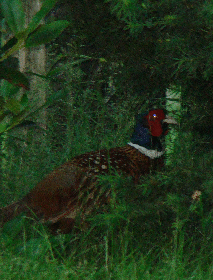 20100628_313