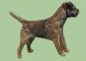 lucylinks