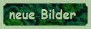 neue Bilder 